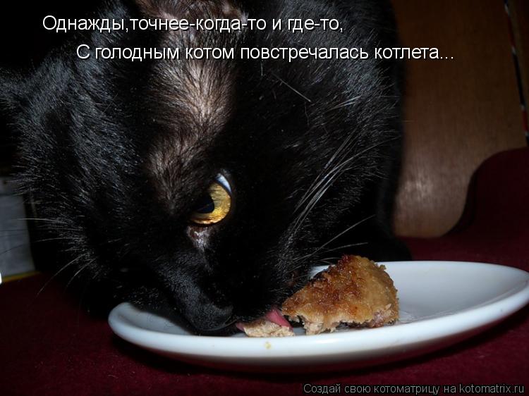 Котоматрица: Однажды,точнее-когда-то и где-то, С голодным котом повстречалась котлета...