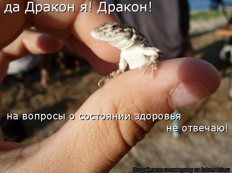 Котоматрица: да Дракон я! Дракон! на вопросы о состоянии здоровья не отвечаю!