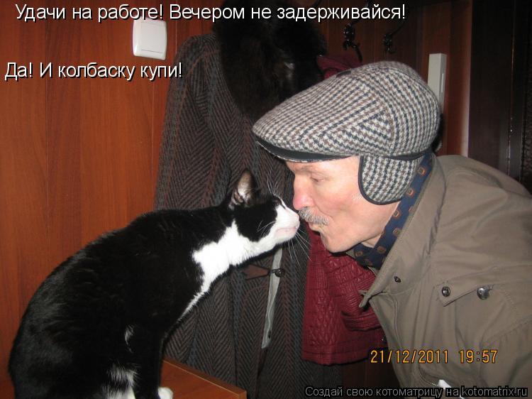 Котоматрица: Удачи на работе! Вечером не задерживайся! Да! И колбаску купи!