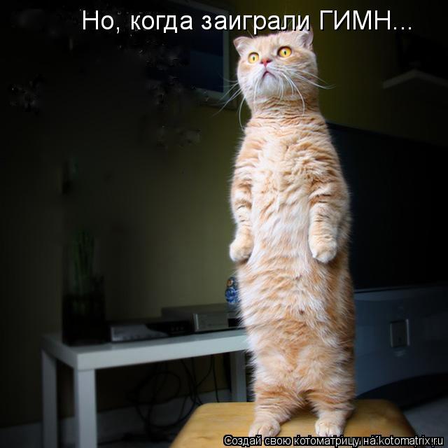 Котоматрица: Но, когда заиграли ГИМН...