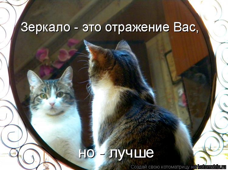 Котоматрица: Зеркало - это отражение Вас, но - лучше