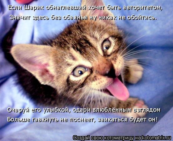 Если Шарик обнаглевший хочет быть авторитетом, Значит здесь без обаянья ну никак не обойтись. Очаруй ... Котоматрица: Если Шарик обнаглевший хочет быть авторитетом, Значит здесь без обаянья ну никак не обойтись. Очаруй его улыбкой, одари влюблённым взглядо