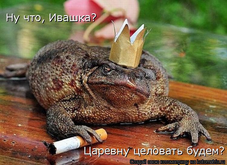 Ну что, Ивашка? Царевну целовать будем?... Котоматрица: Ну что, Ивашка? Царевну целовать будем?