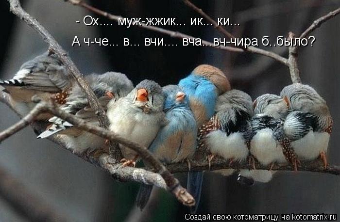 Котоматрица: - Ох.... муж-жжик... ик... ки... А ч-че... в... вчи.... вча...вч-чира б..было?
