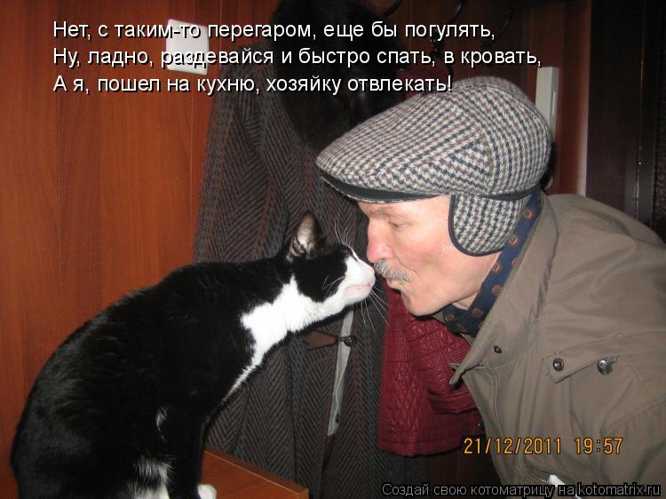 Котоматрица: Ну, ладно, раздевайся и быстро спать, в кровать, А я, пошел на кухню, хозяйку отвлекать! Нет, с таким-то перегаром, еще бы погулять,