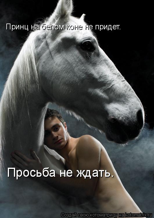 Принц на белом коне не придет. Просьба не ждать.... Котоматрица: Принц на белом коне не придет. Просьба не ждать.