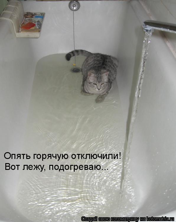 Опять горячую отключили! Вот лежу, подогреваю...... Котоматрица: Опять горячую отключили! Вот лежу, подогреваю...