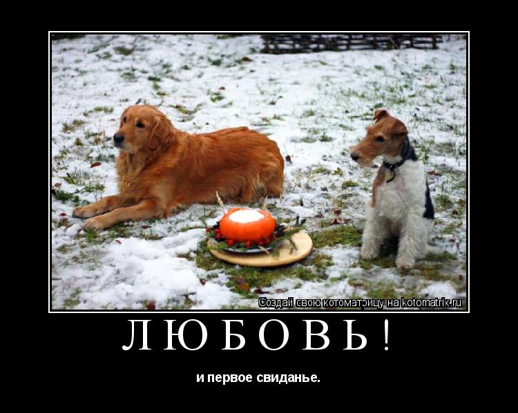 Котоматрица: Любовь! и первое свиданье.