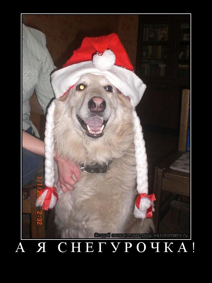Котоматрица: а я снегурочка! 