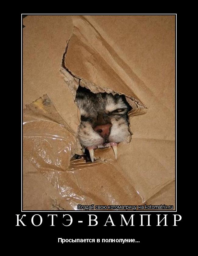 Котоматрица: КотЭ-вампир Просыпается в полнолуние...