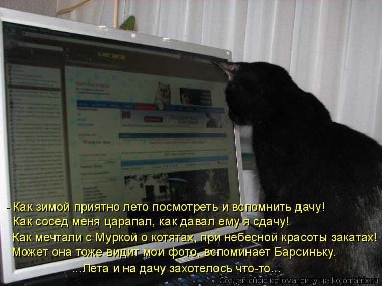 - Как зимой приятно лето посмотреть и вспомнить дачу! Как сосед меня царапал, как давал ему я сдачу! ... Котоматрица: - Как зимой приятно лето посмотреть и вспомнить дачу! Как сосед меня царапал, как давал ему я сдачу! Как мечтали с Муркой о котятах, при небес