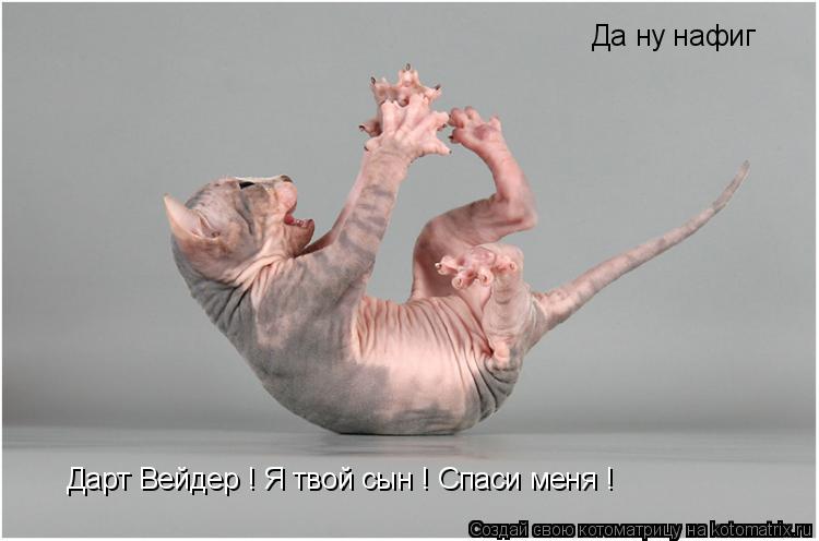 Дарт Вейдер ! Я твой сын ! Спаси меня ! Да ну нафиг Да ну нафиг... Котоматрица: Дарт Вейдер ! Я твой сын ! Спаси меня ! Да ну нафиг Да ну нафиг