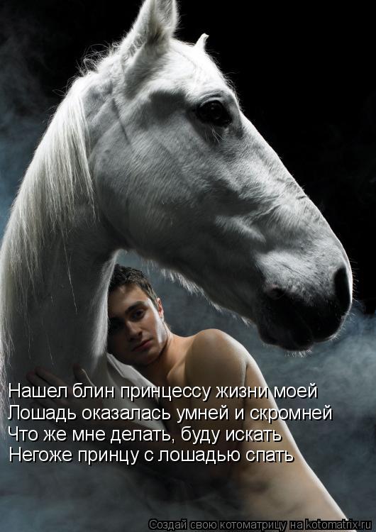 Нашел блин принцессу жизни моей Лошадь оказалась умней и скромней Что же мне делать, буду искать Нег... Котоматрица: Нашел блин принцессу жизни моей Лошадь оказалась умней и скромней Что же мне делать, буду искать Негоже принцу с лошадью спать