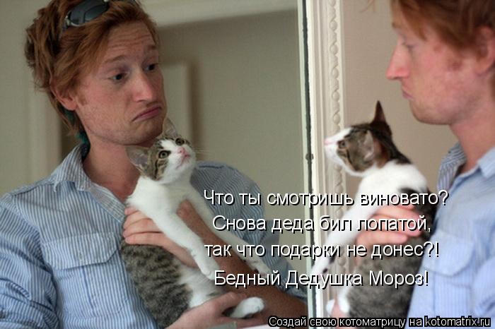 Что ты смотришь виновато? Снова деда бил лопатой, так что подарки не донес?! Бедный Дедушка Мороз!... Котоматрица: Что ты смотришь виновато? Снова деда бил лопатой, так что подарки не донес?! Бедный Дедушка Мороз!