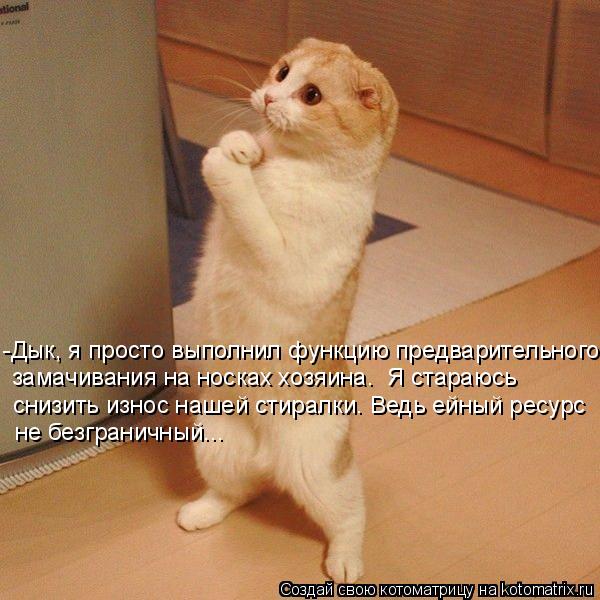 Котоматрица: -Дык, я просто выполнил функцию предварительного замачивания на носках хозяина.  Я стараюсь снизить износ нашей стиралки. Ведь ейный ресурс