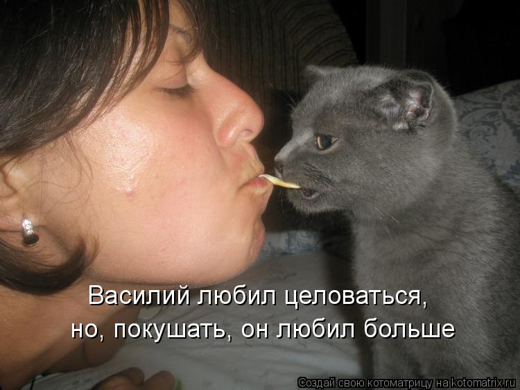 Василий любил целоваться, но, покушать, он любил больше... Котоматрица: Василий любил целоваться, но, покушать, он любил больше