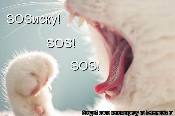 Котоматрица: SOSиску! SOS! SOS!