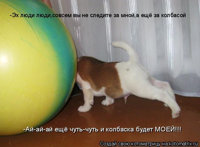 Котоматрица: -Эх люди люди,совсем вы не следите за мной,а ещё за колбасой -Ай-ай-ай ещё чуть-чуть и колбаска будет МОЕЙ!!!