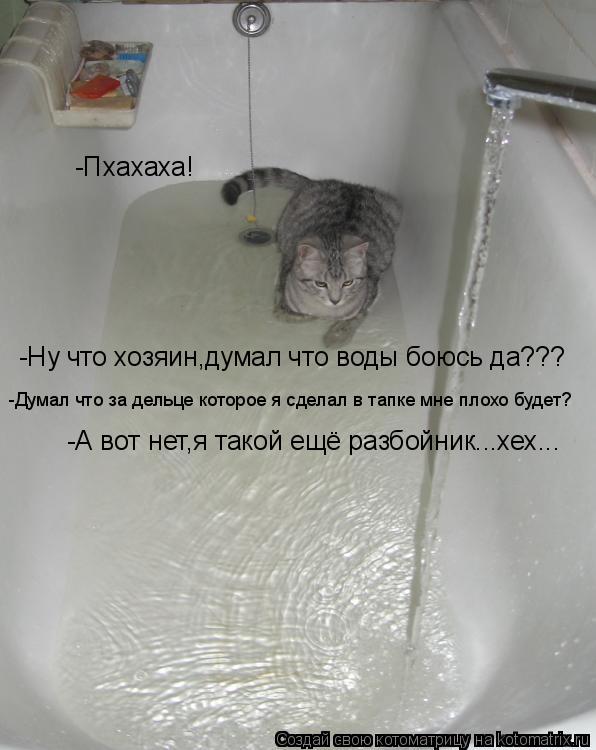 Котоматрица: -Пхахаха! -Ну что хозяин,думал что воды боюсь да??? -Думал что за дельце которое я сделал в тапке мне плохо будет? -А вот нет,я такой ещё разбойн