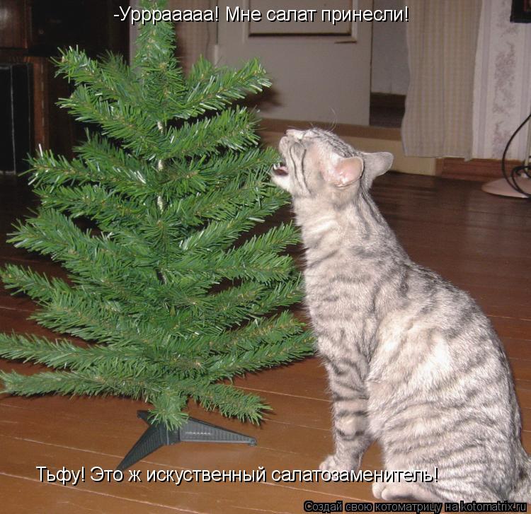 Котоматрица: -Урррааааа! Мне салат принесли! Тьфу! Это ж искуственный салатозаменитель!
