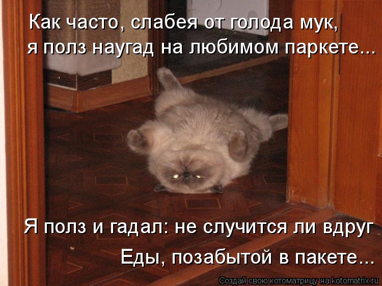 Котоматрица: Как часто, слабея от голода мук,  Я полз и гадал: не случится ли вдруг я полз наугад на любимом паркете... Еды, позабытой в пакете...