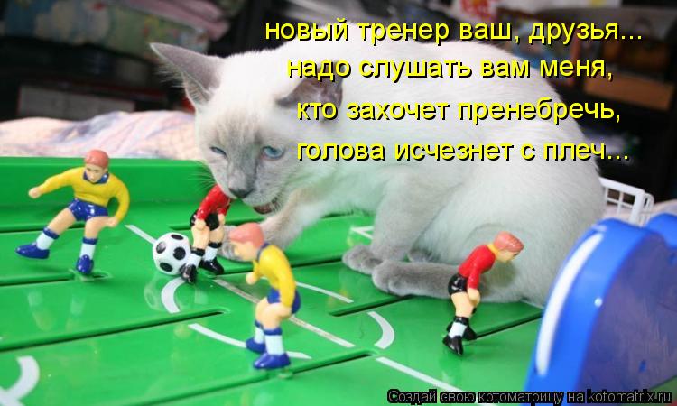 Котоматрица: новый тренер ваш, друзья... надо слушать вам меня, кто захочет пренебречь, голова исчезнет с плеч...