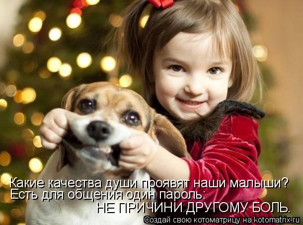 Какие качества души проявят наши малыши? НЕ ПРИЧИНИ ДРУГОМУ БОЛЬ. Есть для общения один пароль:... Котоматрица: Какие качества души проявят наши малыши? НЕ ПРИЧИНИ ДРУГОМУ БОЛЬ. Есть для общения один пароль: