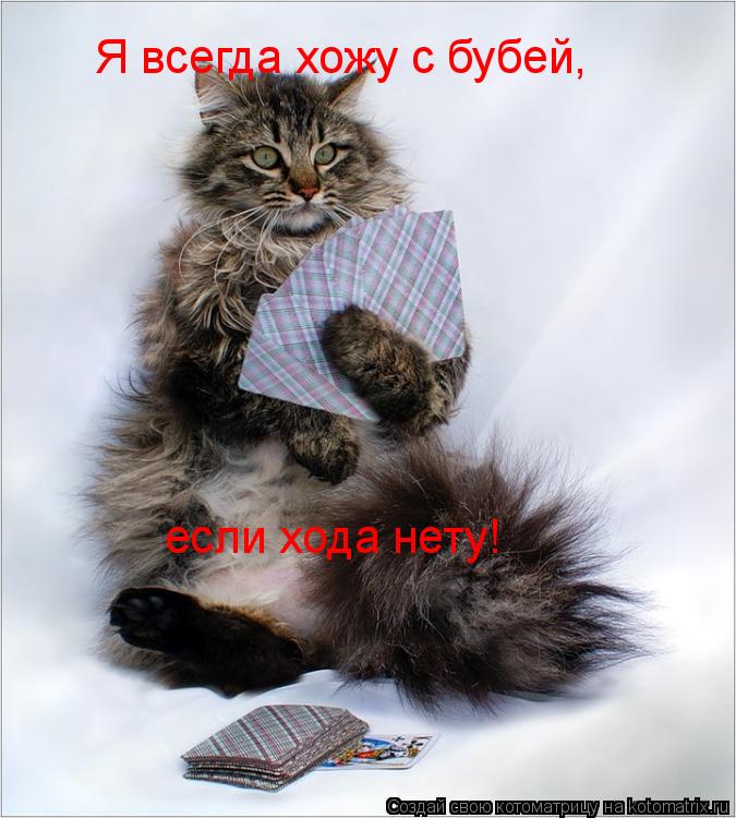 Я всегда хожу с бубей, если хода нету!... Котоматрица: Я всегда хожу с бубей, если хода нету!