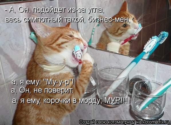 - А, Он, подойдет из-за угла, весь симпотный такой, бизнес-мен, а, я ему: "Му-у-р"! а, Он, не поверит... Котоматрица: - А, Он, подойдет из-за угла, весь симпотный такой, бизнес-мен, а, я ему: "Му-у-р"! а, Он, не поверит. а, я ему, корочки в морду; МУР!!!