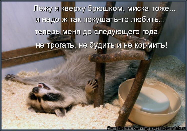 Лежу я кверху брюшком, миска тоже... и надо ж так покушать-то любить... теперь меня до следующего год... Котоматрица: Лежу я кверху брюшком, миска тоже... и надо ж так покушать-то любить... теперь меня до следующего года не трогать, не будить и не кормить!