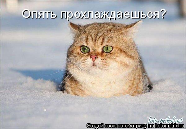 Котоматрица: Опять прохлаждаешься?