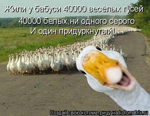 Жили у бабуси 40000 весёлых гусей 40000 белых,ни одного серого И один придуркнутый!... Котоматрица: Жили у бабуси 40000 весёлых гусей 40000 белых,ни одного серого И один придуркнутый!