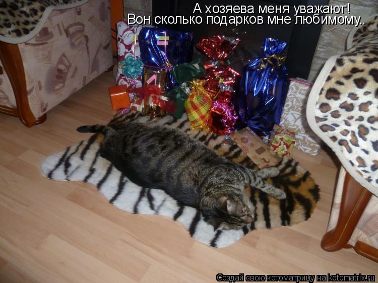 Котоматрица: А хозяева меня уважают!    Вон сколько подарков мне любимому..