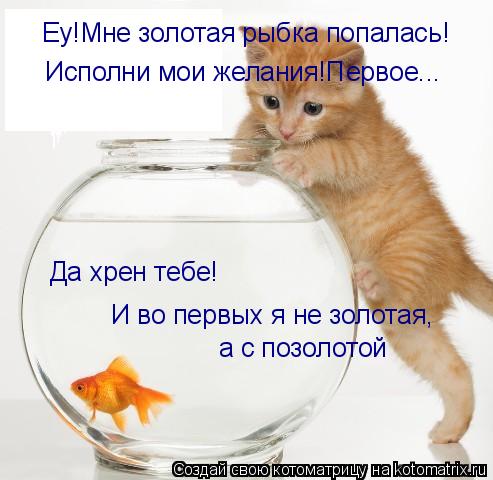 Еу!Мне золотая рыбка попалась! Исполни мои желания!Первое... Да хрен тебе! И во первых я не золотая, ... Котоматрица: Еу!Мне золотая рыбка попалась! Исполни мои желания!Первое... Да хрен тебе! И во первых я не золотая, а с позолотой