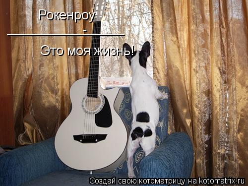 Рокенроу - ________________ Это моя жизнь!... Котоматрица: Рокенроу - ________________ Это моя жизнь!