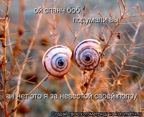 ой спанч боб... подумали вы ан нет это я за невестой своей ползу... Котоматрица: ой спанч боб... подумали вы ан нет это я за невестой своей ползу