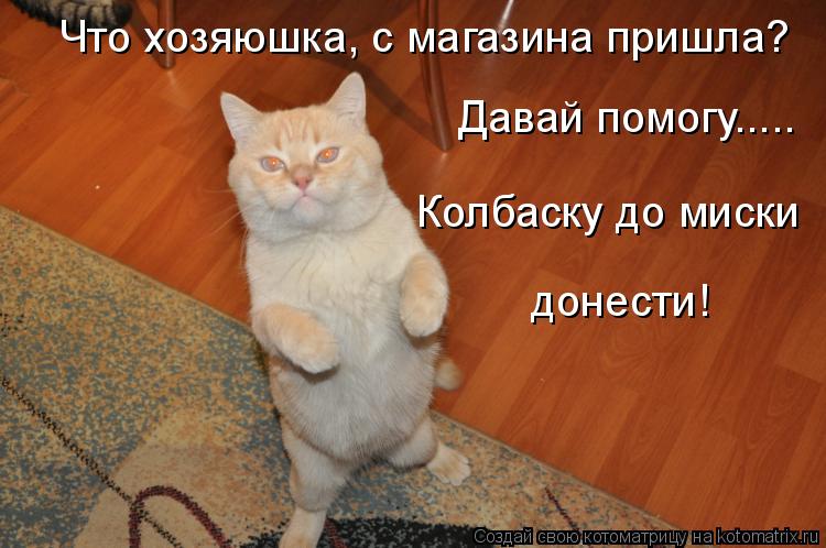 Котоматрица: Что хозяюшка, с магазина пришла? Давай помогу..... Колбаску до миски  донести!