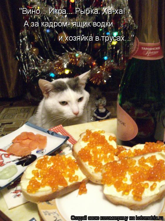 Котоматрица: "Вино... Икра... Рыбка. Ха-ха!  А за кадром- ящик водки  и хозяйка в трусах..."