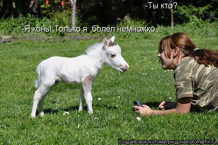 -Ты кто? -Я конь! Только я болел немножко...... Котоматрица: -Ты кто? -Я конь! Только я болел немножко...