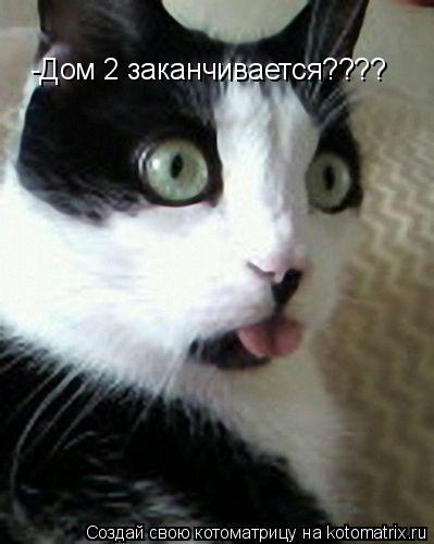 Котоматрица: -Дом 2 заканчивается????