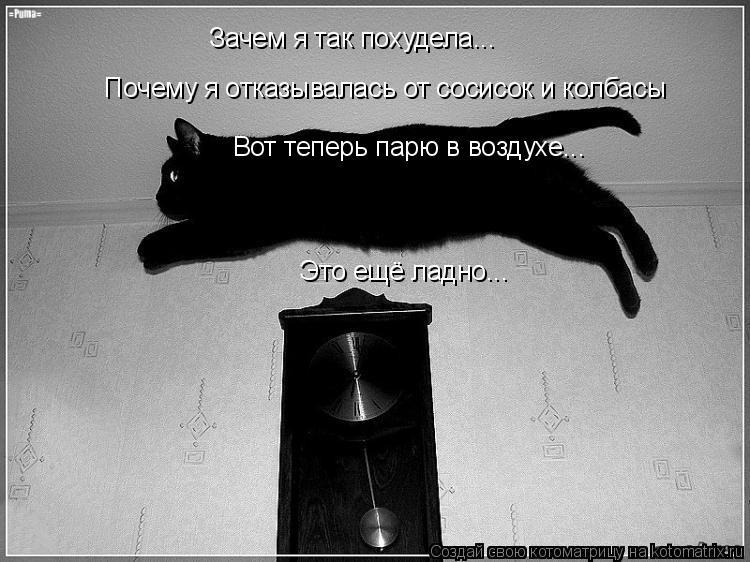Зачем я так похудела... Почему я отказывалась от сосисок и колбасы Вот теперь парю в воздухе... Это е... Котоматрица: Зачем я так похудела... Почему я отказывалась от сосисок и колбасы Вот теперь парю в воздухе... Это ещё ладно...