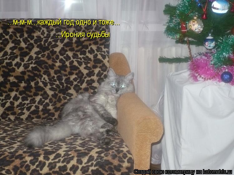 ...м-м-м...каждый год одно и тоже... ...Ирония судьбы... Котоматрица: ...м-м-м...каждый год одно и тоже... ...Ирония судьбы