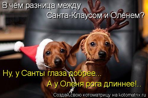 В чём разница между Санта-Клаусом и Оленем? Ну, у Санты глаза добрее... А у Оленя рога длиннее!..... Котоматрица: В чём разница между Санта-Клаусом и Оленем? Ну, у Санты глаза добрее... А у Оленя рога длиннее!..
