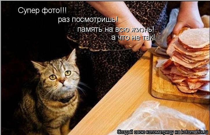 Супер фото!!! раз посмотришь! память на всю жизнь! а что не так!... Котоматрица: Супер фото!!! раз посмотришь! память на всю жизнь! а что не так!