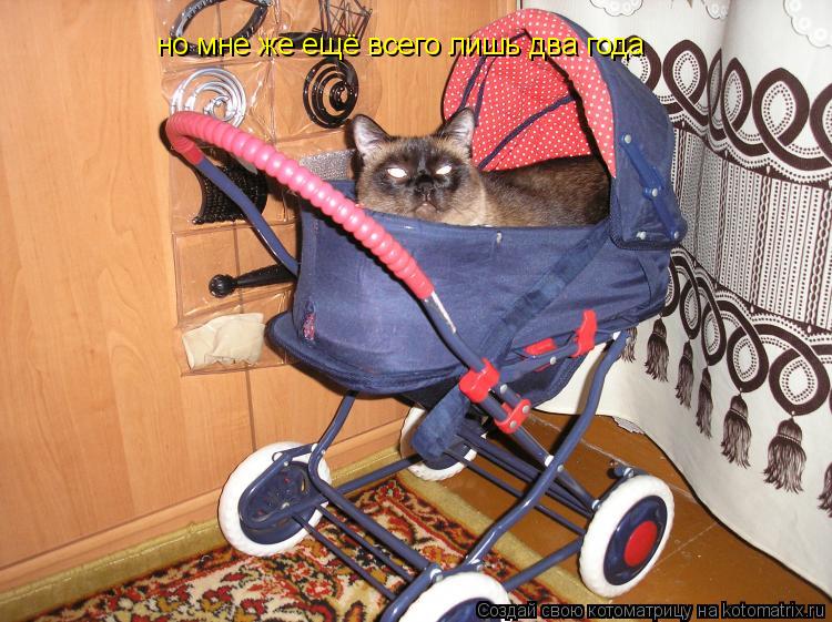 но мне же ещё всего лишь два года... Котоматрица: но мне же ещё всего лишь два года