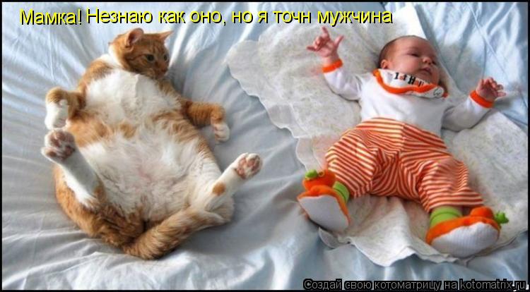 Мамка! Незнаю как оно, но я точн мужчина... Котоматрица: Мамка! Незнаю как оно, но я точн мужчина