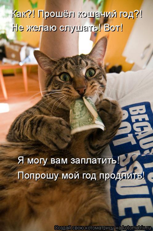 Как?! Прошёл кошачий год?! Не желаю слушать! Вот! Я могу вам заплатить! Попрошу мой год продлить!... Котоматрица: Как?! Прошёл кошачий год?! Не желаю слушать! Вот! Я могу вам заплатить! Попрошу мой год продлить!
