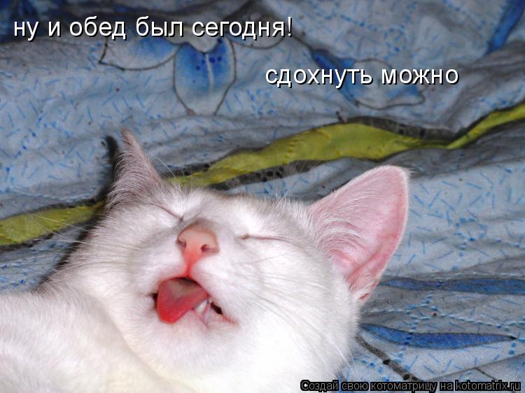 ну и обед был сегодня! сдохнуть можно... Котоматрица: ну и обед был сегодня! сдохнуть можно