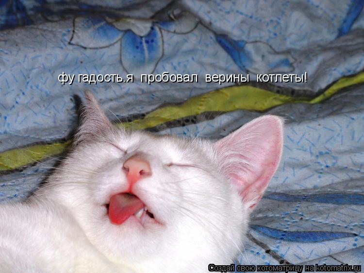 фу гадость.я пробовал верины котлеты!... Котоматрица: фу гадость.я пробовал верины котлеты!