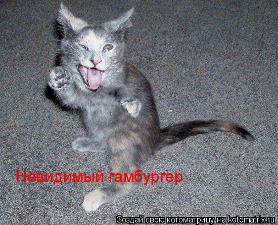 Невидимый гамбургер Невидимый гамбургер Невидимый гамбургер... Котоматрица: Невидимый гамбургер Невидимый гамбургер Невидимый гамбургер